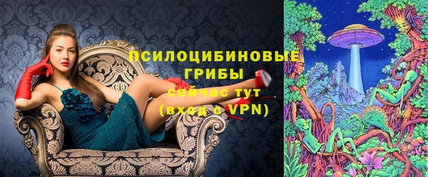 спиды Аркадак