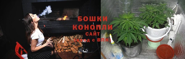 спиды Аркадак