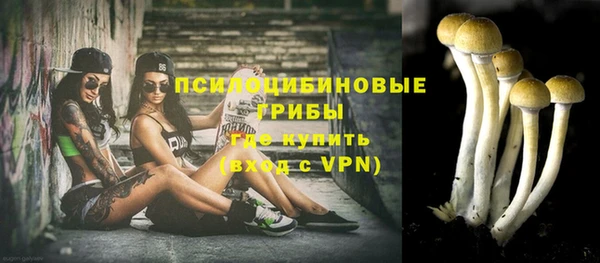 спиды Аркадак